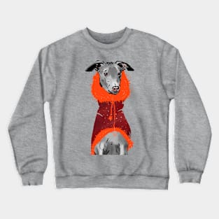 Dog in Popon 4 Crewneck Sweatshirt